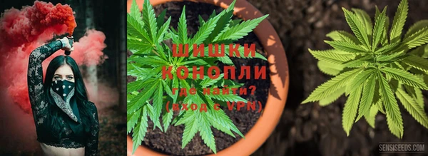 ешки Нефтегорск