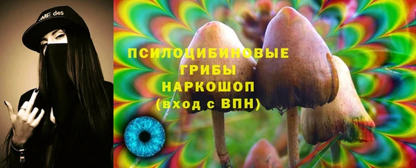 бошки Нея
