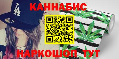 крисы Гатчина