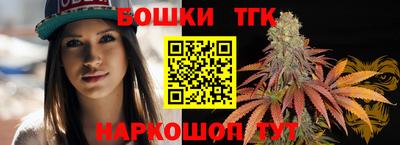 крисы Гатчина